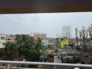 Loharuka Green Chinar