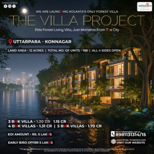 The Villa Project